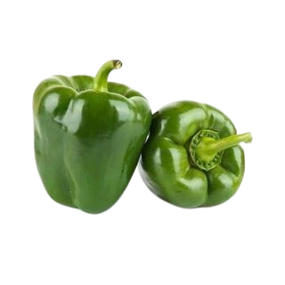 Capsicum