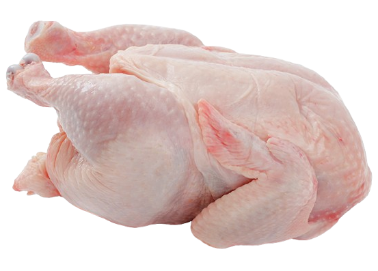Broiler Chicken